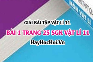 Giải bài 1 trang 25 SGK Vật lí 11